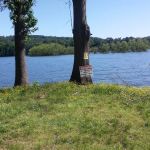 Ryans Creek RV Resort