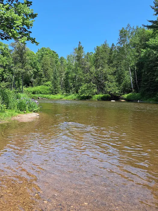 Rifle River Campground & Canoe Livery Picture 1
