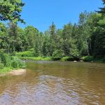 Rifle River Campground & Canoe Livery