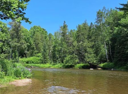 Rifle River Campground & Canoe Livery