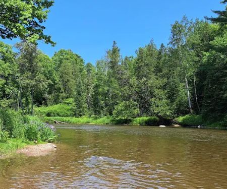 Rifle River Campground & Canoe Livery