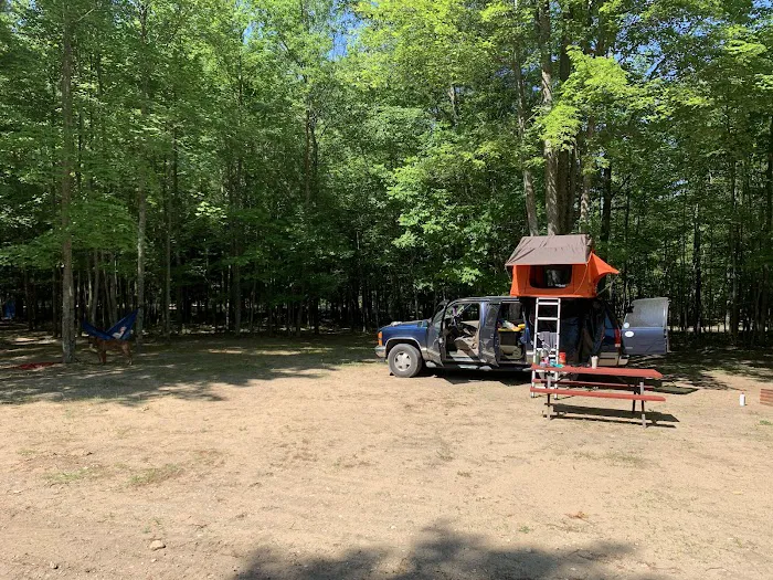 Rifle River Campground & Canoe Livery Picture 4