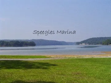 Speegle's RV Park & Campground Picture 4