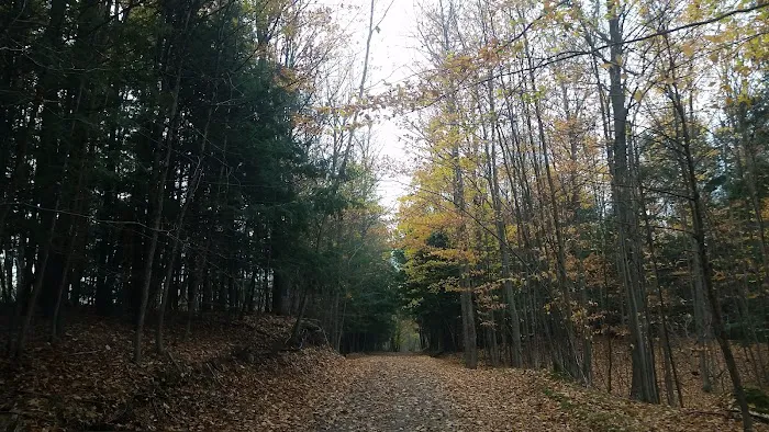 Brag Patch RV Park Picture 4