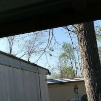 Little Bills Trailer Park ico