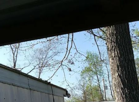 Little Bills Trailer Park