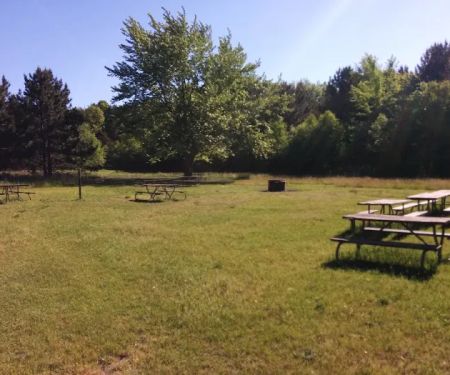 Warren Dunes Organizational Campground