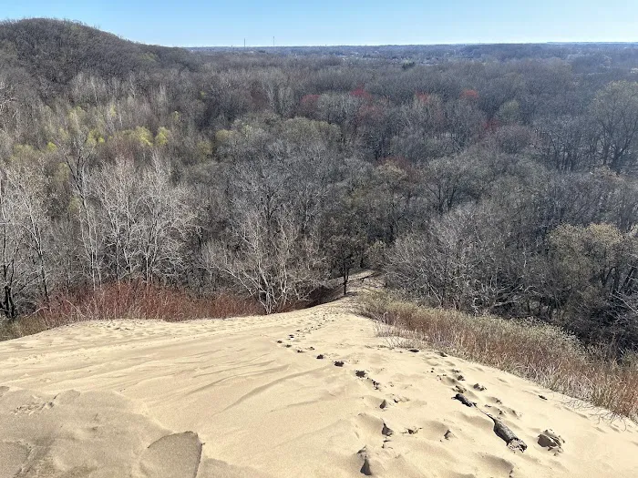 Warren Dunes Organizational Campground Picture 8