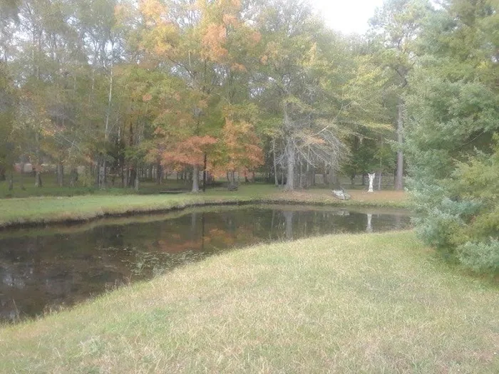 Hawks RV Park Picture 2