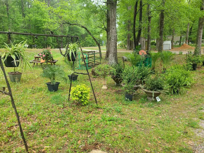 Hawks RV Park Picture 9