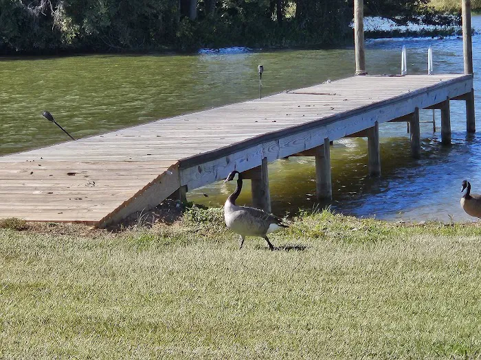 Logan Martin Lake RV Resort Picture 1
