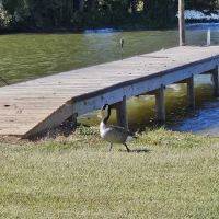 Logan Martin Lake RV Resort ico
