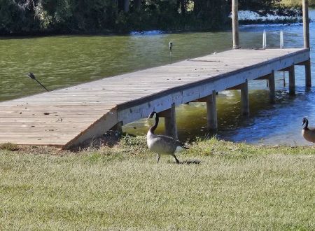 Logan Martin Lake RV Resort