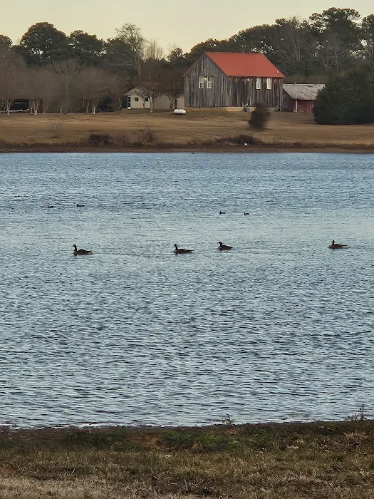 Logan Martin Lake RV Resort Picture 9