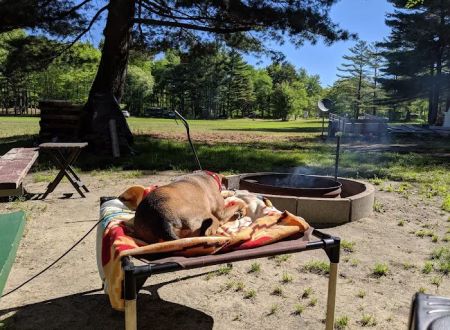 Eagles Campground