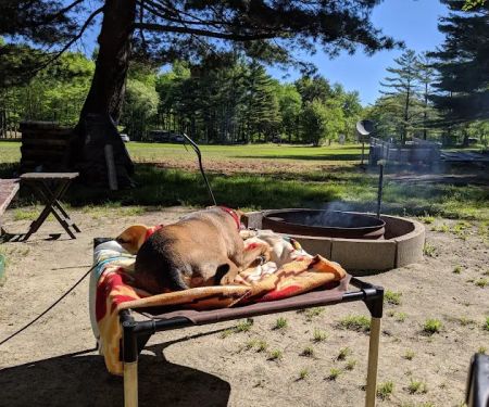 Eagles Campground
