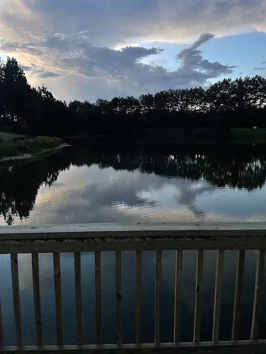 P. J. Hoffmaster Campground Picture 3