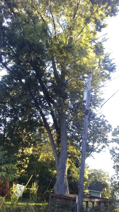 Tall Oaks Family Campground Picture 5