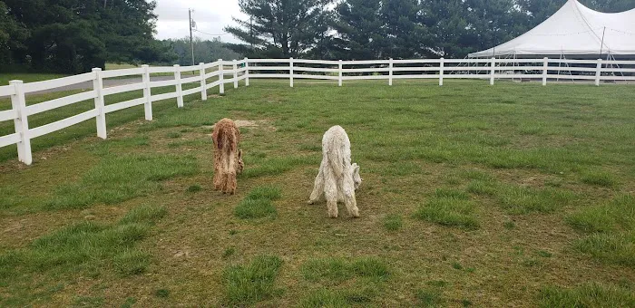 Heritage Farm Stay Adventure Picture 4