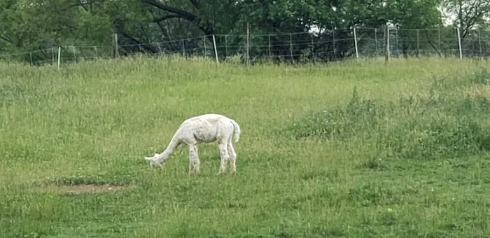 Heritage Farm Stay Adventure Picture 6