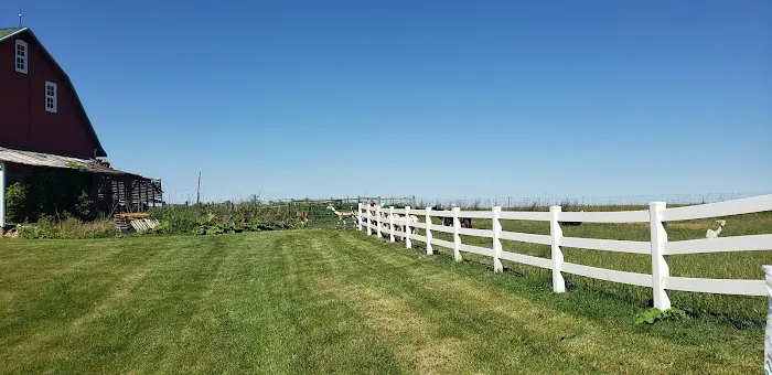 Heritage Farm Stay Adventure Picture 8