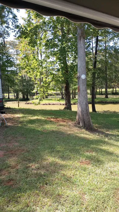Turkey Creek Campground LLC Picture 6