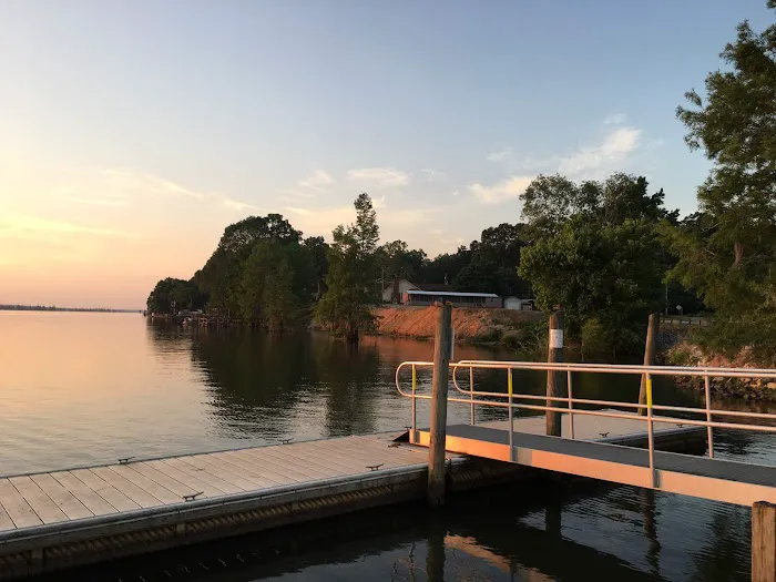 Stumphole Landing Campground Picture 4
