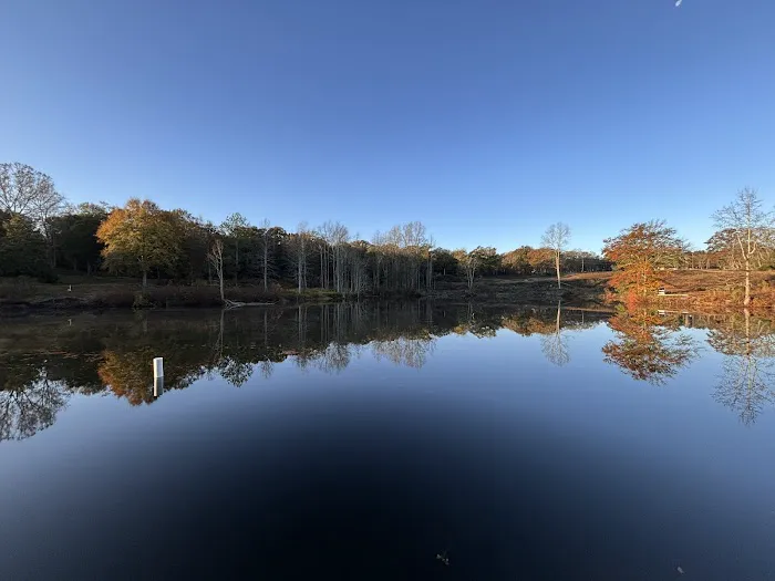 Stillwater Springs Campground and RV Park Picture 6