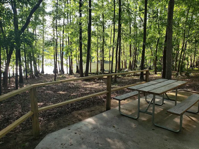 Cypress View Campground Picture 2