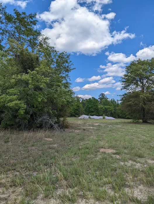 Yamacraw Campground Yuchi WMA Picture 1