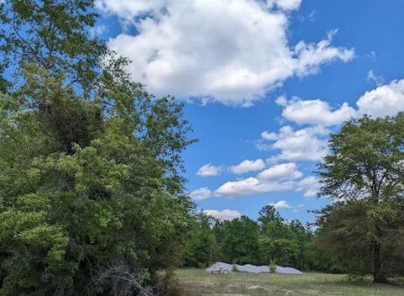 Yamacraw Campground Yuchi WMA