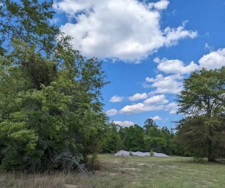 Yamacraw Campground Yuchi WMA