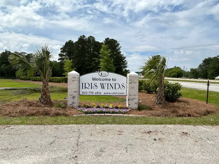 Iris Winds Picture 8