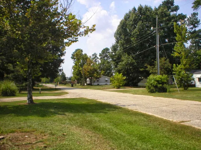 Palmetto Woods Picture 6
