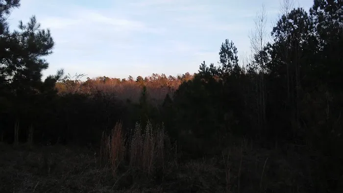 Fox Hollow Camp Ground Picture 8