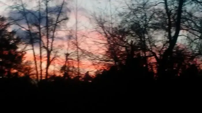 Fox Hollow Camp Ground Picture 10