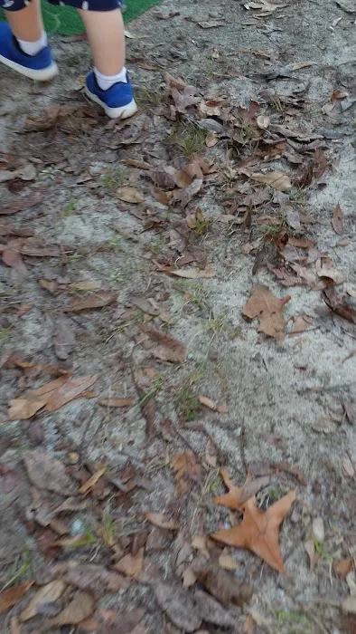 Mount Moriah Campgrounds Picture 1