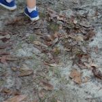 Mount Moriah Campgrounds