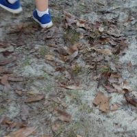 Mount Moriah Campgrounds ico