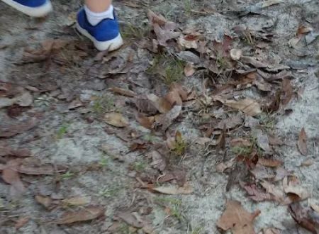 Mount Moriah Campgrounds