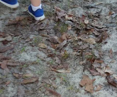 Mount Moriah Campgrounds