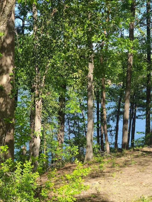 TT campground Picture 4