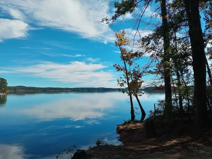 Hesters Ferry Campground Picture 2