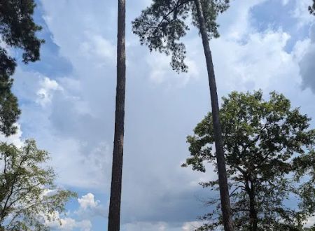 Clay Hill Campground