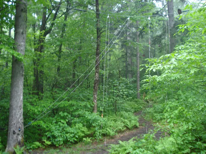 Pecks Corner Shelter Picture 8