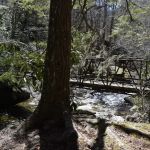 Backcountry Camp 48
