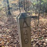 Backcountry Campsite #49
