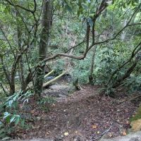 Backcountry Campsite #50 ico