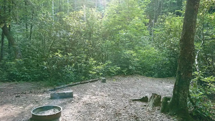 Backcountry Campsite #50 Picture 3