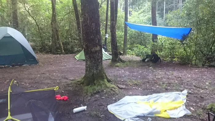 Backcountry Campsite #50 Picture 6